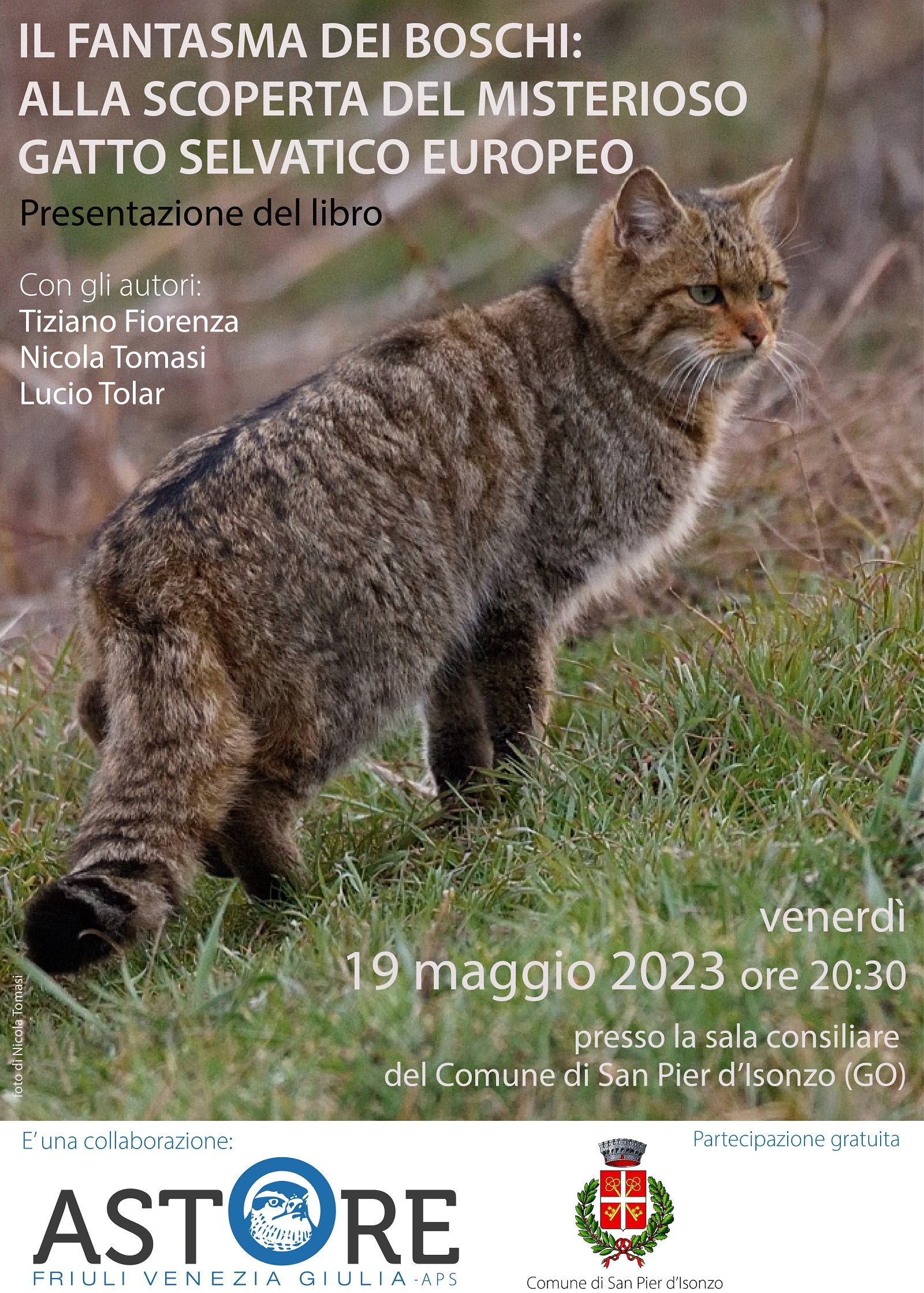 Gatto_selvatico_Libro_San Pier-2023